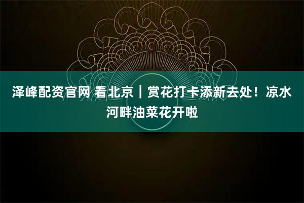 泽峰配资官网 看北京｜赏花打卡添新去处！凉水河畔油菜花开啦